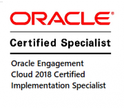 Oracle Engagement Cloud